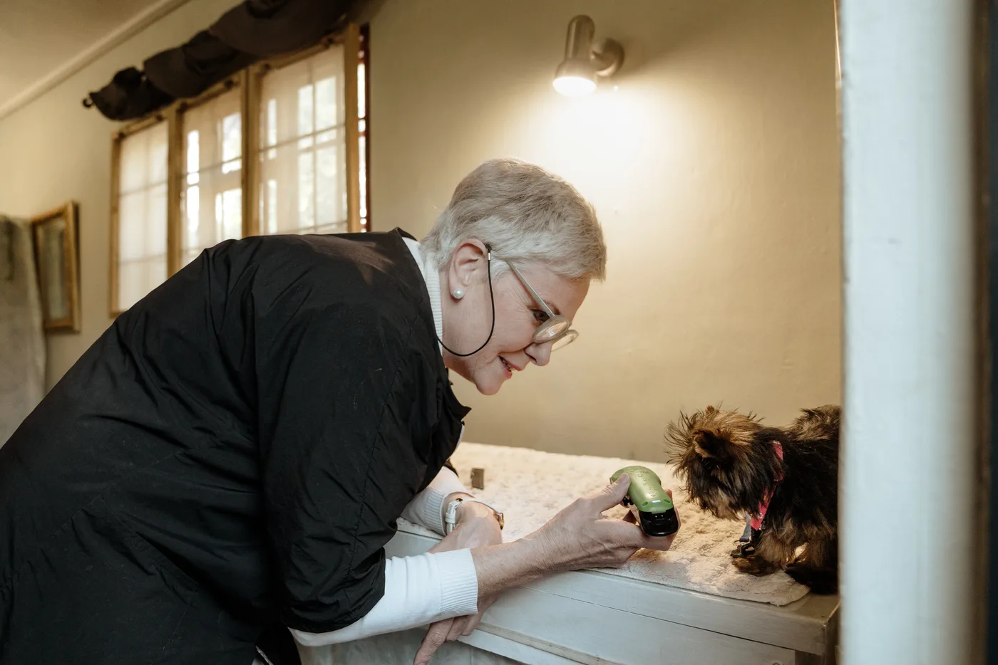 Erika clipping a Yorkie at the grooming table