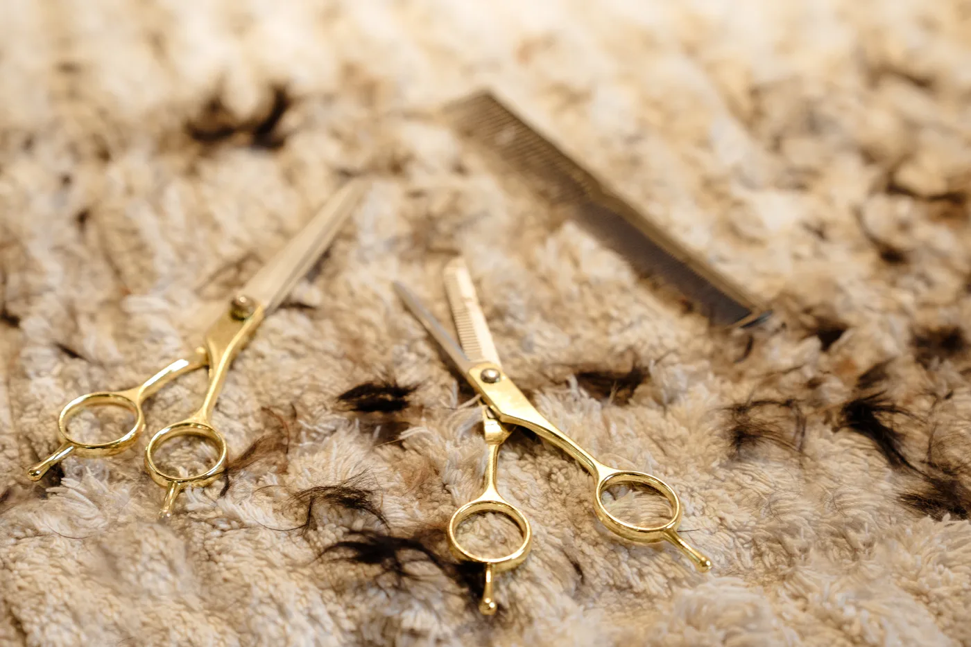 Grooming shears resting after a trim