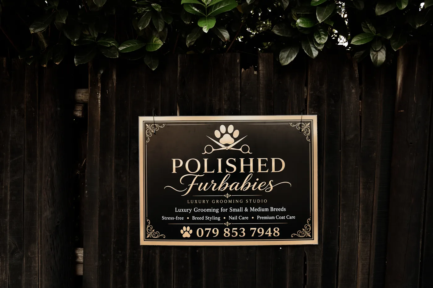 The Polished Furbabies studio sign at the salon entrance