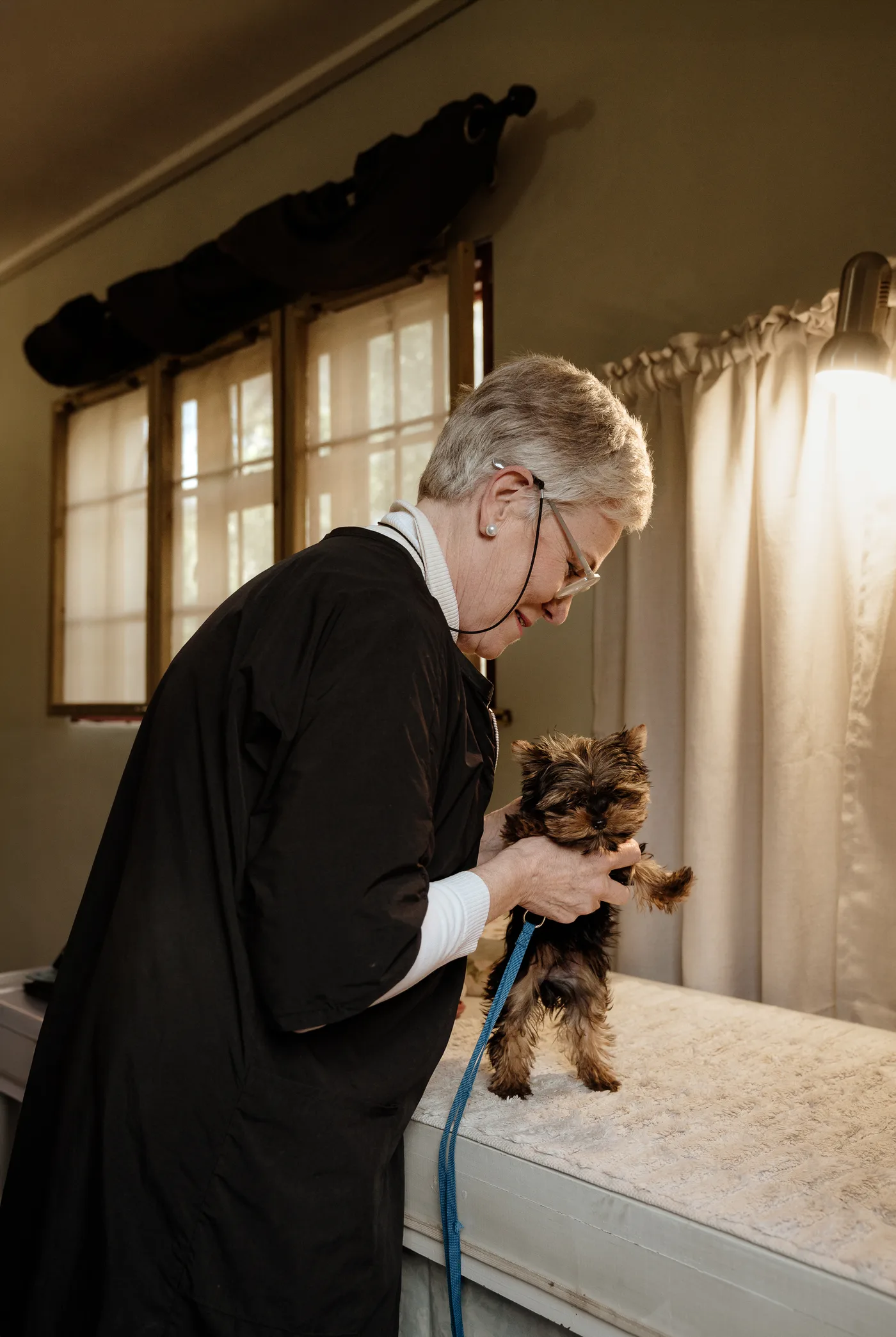 Erika lifting a Yorkie onto the grooming table