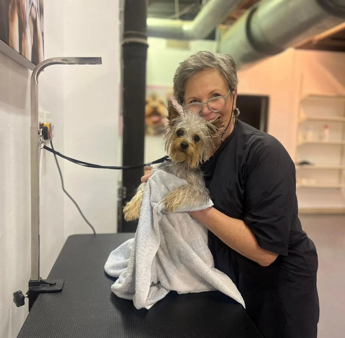 Towel-drying a freshly bathed Yorkie